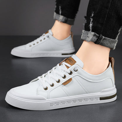 ZAPATILLAS BELNOR